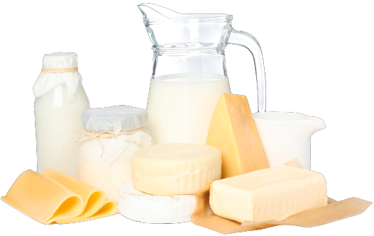 Cold Room Dairy Products - Cold Storage Dairy Products | Mil | Cheese