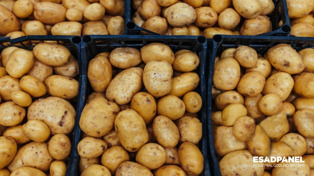 potato cold storage potato cold room